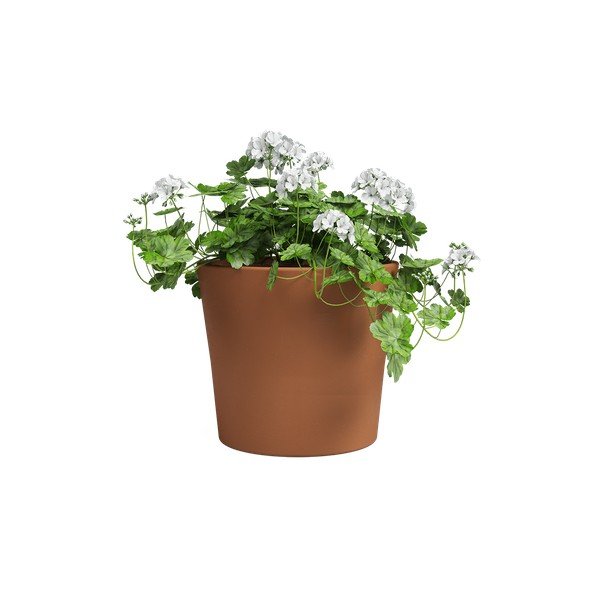 Terakotowa doniczka ø 39 cm Manuel – Artevasi-image-2