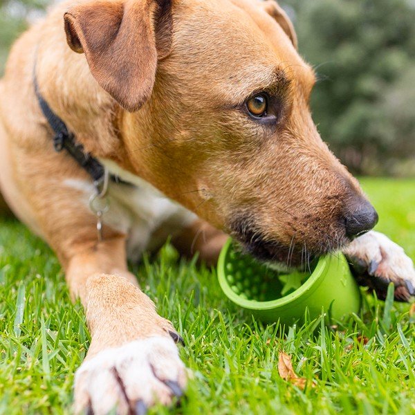 Miska do lizania Yoggie Pot Green – LickiMat-image-4