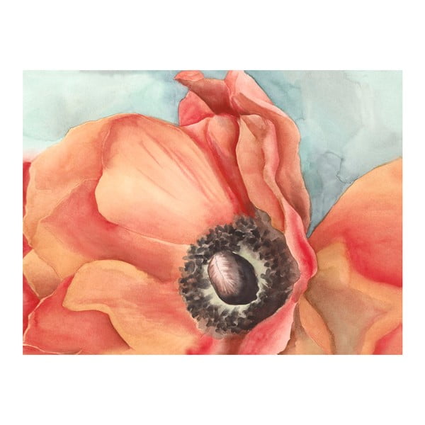Obraz DecoMalta Detail Poppies, 65x50 cm