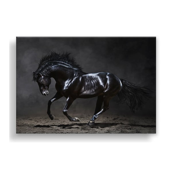 Obraz Styler Canvas Silver Uno Horse, 85x113 cm