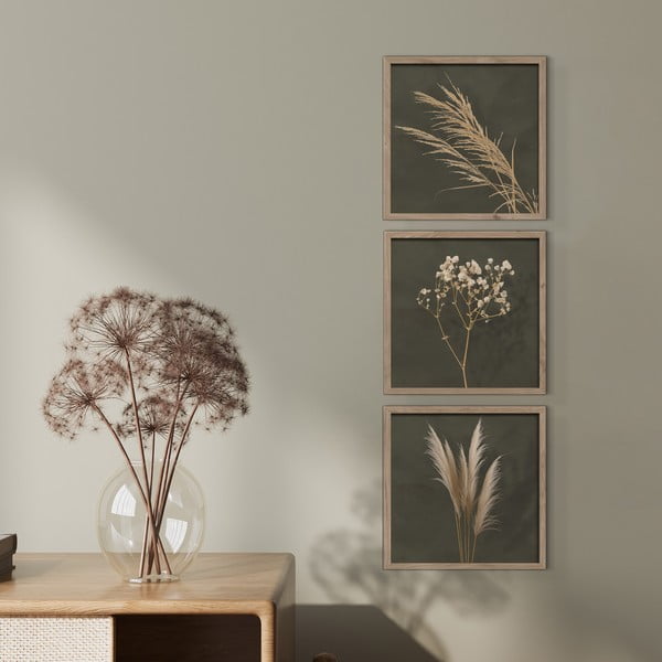 Obrazy zestaw 3 szt. 30x30 cm Pampas – Styler-image-1