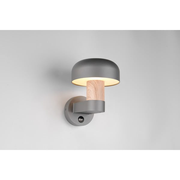 Zewnętrzna lampa ścienna (wysokość 24,5 cm) Fraser – Trio-image-1
