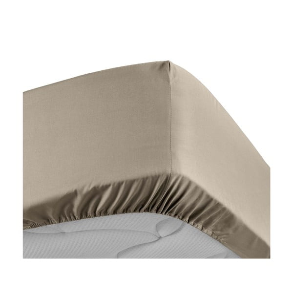 Jasnobrązowe prześcieradło z perkalu bawełnianego z gumką 160x200 cm Percaline – douceur d'intérieur-image-3