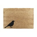 Wycieraczka z włókna kokosowego 40x60 cm Bird – Artsy Doormats