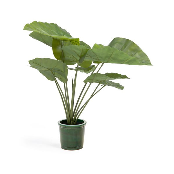 Sztuczna roślina (wysokość 57 cm) Odora – Kave Home