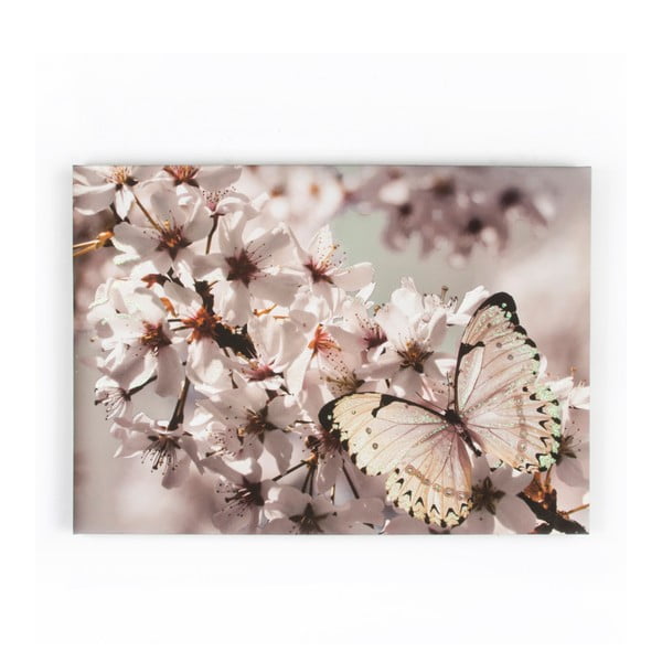 Obraz Graham & Brown Butterfly Branch, 70x50 cm