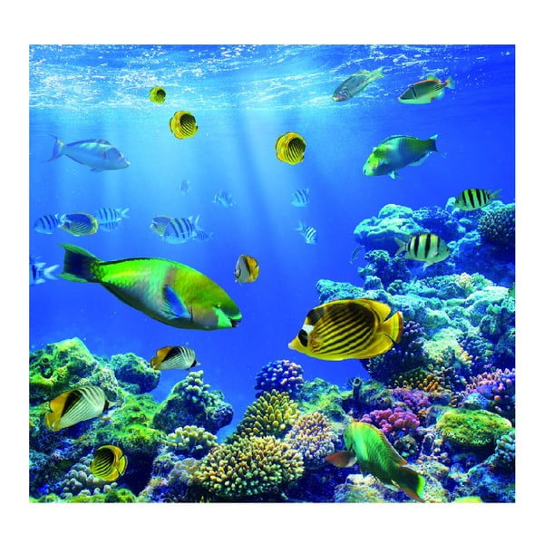 Fototapeta Underwater World, 300x280 cm