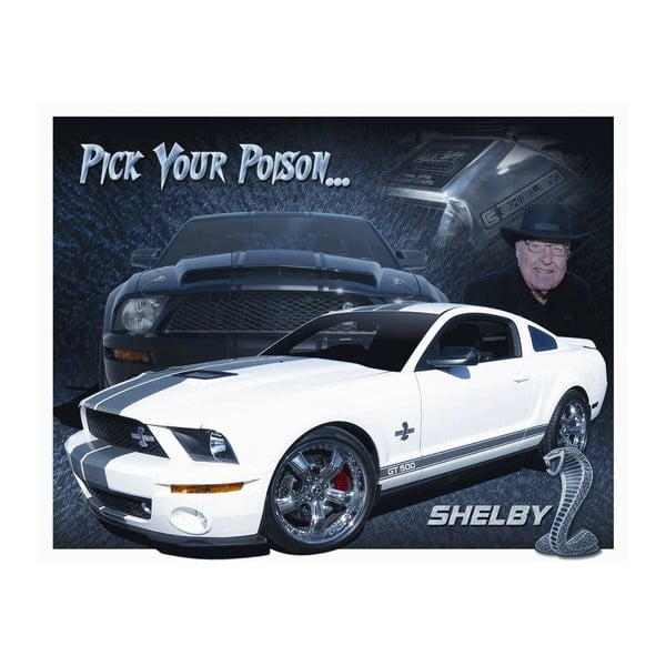 Blaszana tabliczka Shelby, 30x40 cm