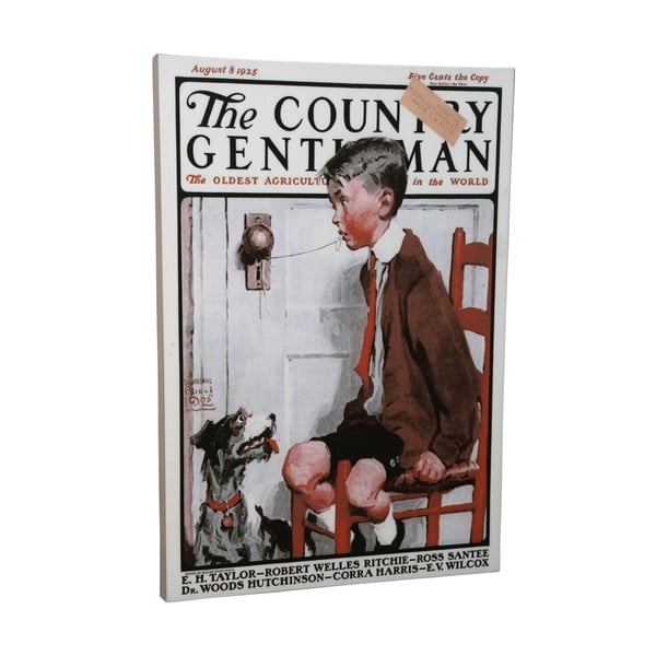 Obraz The Country Gentleman, 50x70 cm
