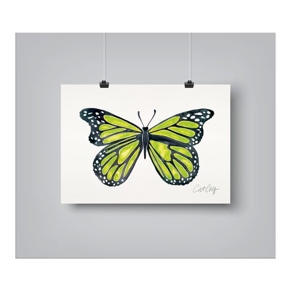 Plakat Americanflat Butterfly by Cat Coquillette, 30x42 cm
