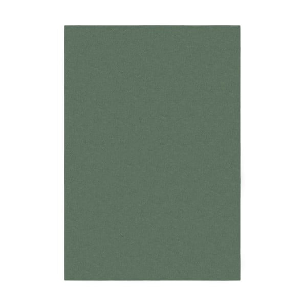 Zielony dywan 200x290 cm – Flair Rugs