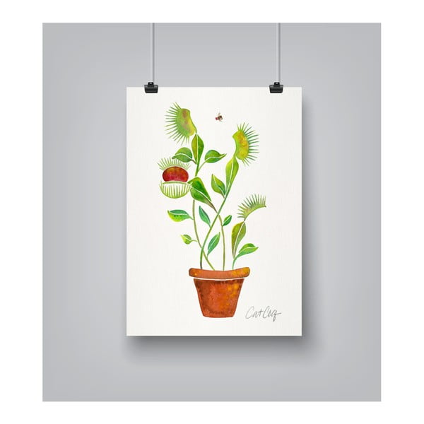 Plakat Americanflat Venus Fly Trap by Cat Coquillette, 30x42 cm