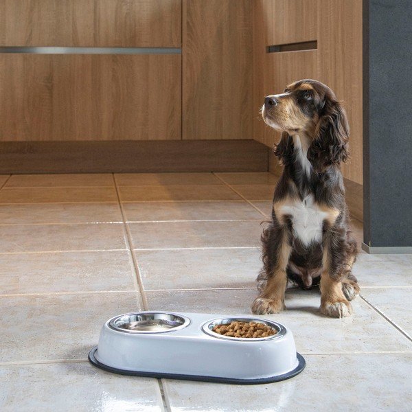 Plastikowy zestaw misek dla psów ze stojakiem – Love Story-image-1