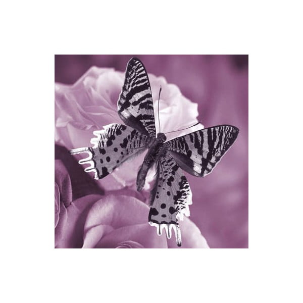 Obraz na szkle Motyl I, 30x30 cm