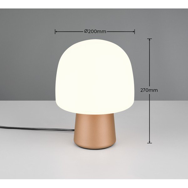 Biało-brązowa lampa stołowa ze szklanym kloszem (wysokość 27 cm) Steen – Trio-image-3