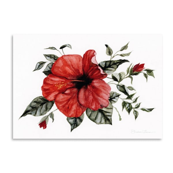 Plakat Americanflat Red Hibiscus by Shealeen Louise, 30x42 cm