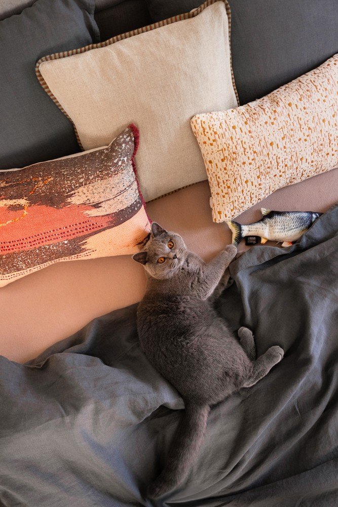 Inspiracje: Bonami z wizytą