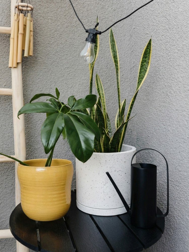 Inspiracje: Balkon i taras, Ogród