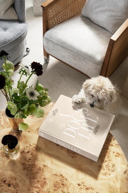 Inspiracje: Dla zwierząt