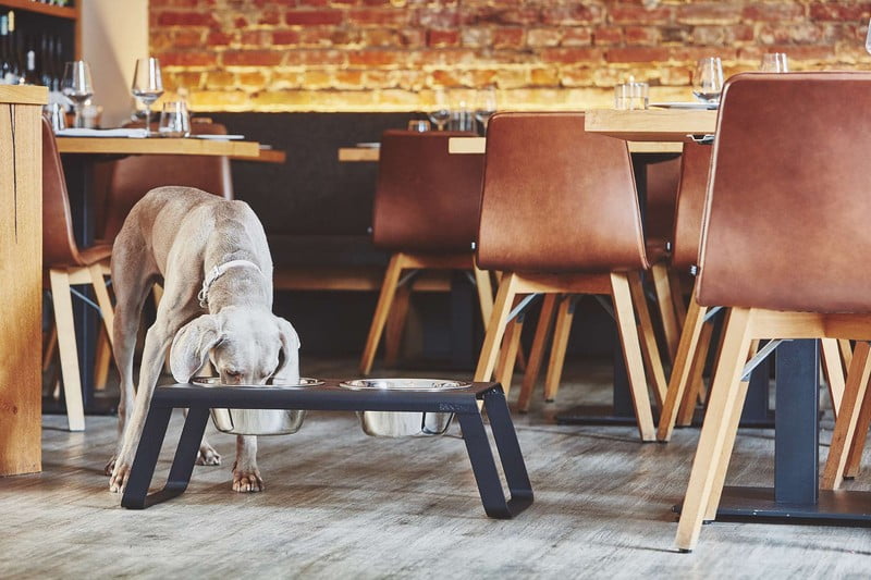 Inspiracje: Salon, Dla zwierząt, Styl skandynawski