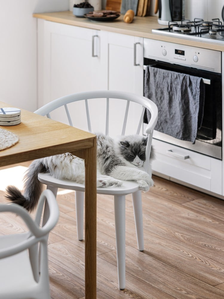 Inspiracje: Kuchnia i jadalnia