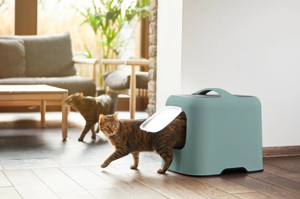 Inspiracje: Dla zwierząt