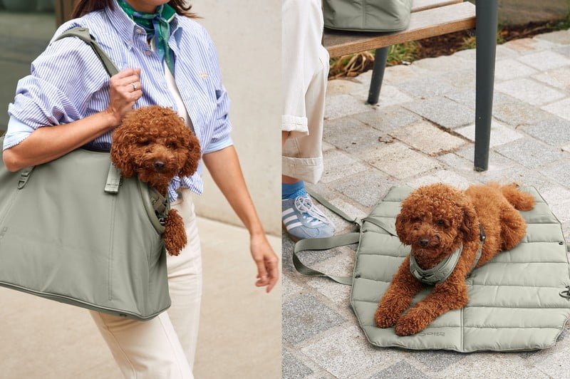 Inspiracje: Dla zwierząt