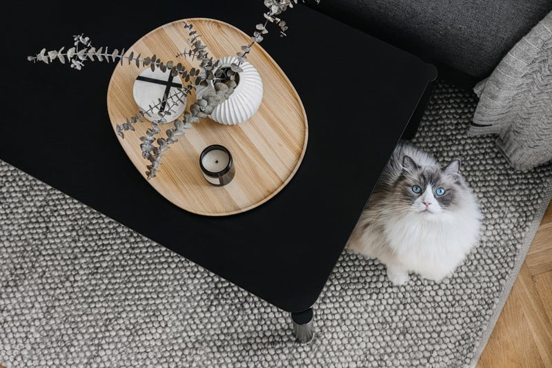 Inspiracje: Salon, Styl skandynawski