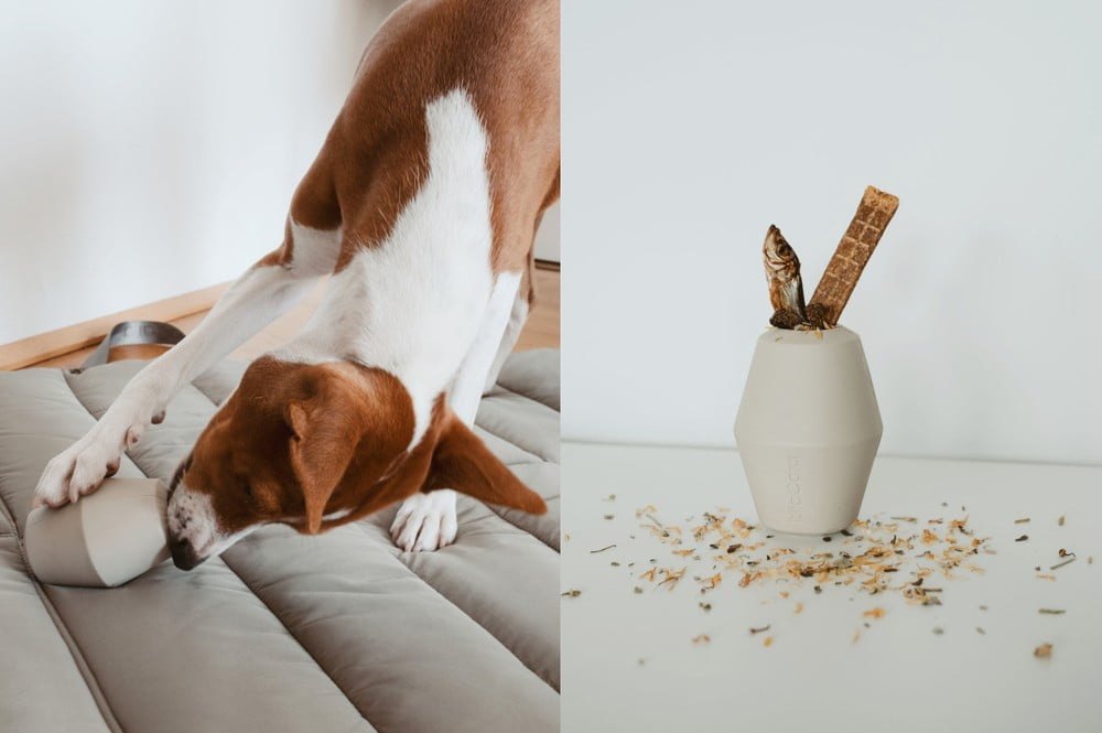 Inspiracje: Dla zwierząt