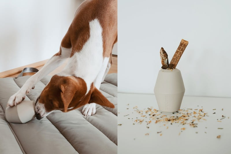 Inspiracje: Dla zwierząt