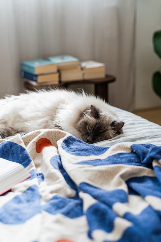 Inspiracje: Dekoracja