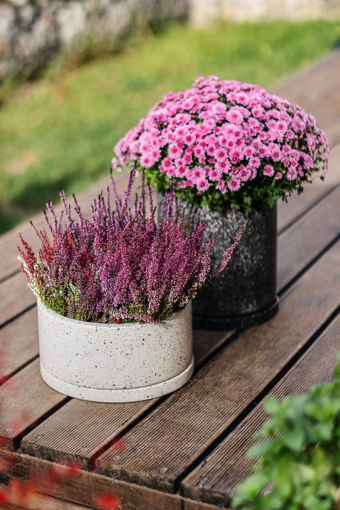 Inspiracje: Ogród, Balkon i taras, Rustykalny styl