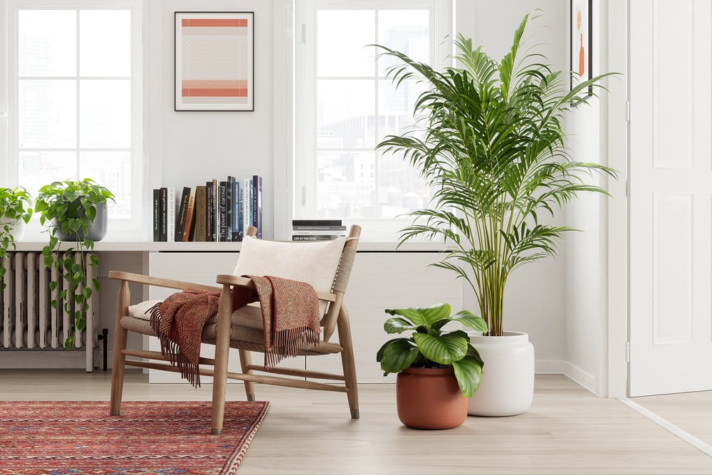 Inspiracje: Dekoracja