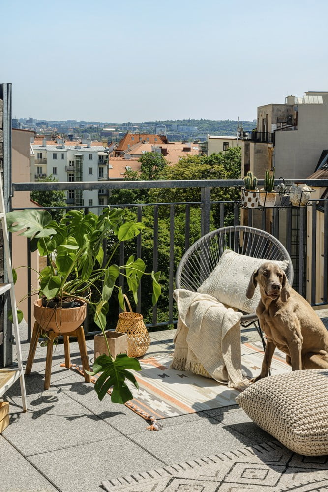 Inspiracje: Styl boho, Ogród, Balkon i taras, Bonami z wizytą