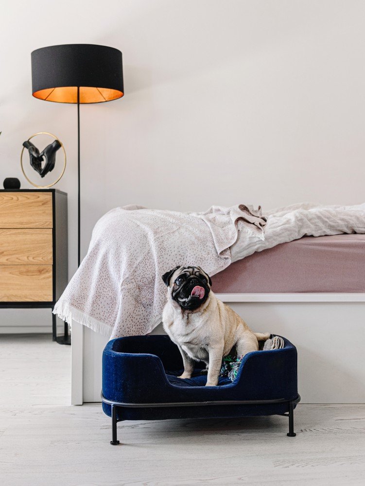 Inspiracje: Sypialnia