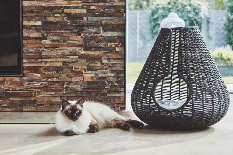 Inspiracje: Salon, Dla zwierząt, Styl skandynawski