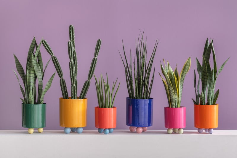 Inspiracje: Dekoracja