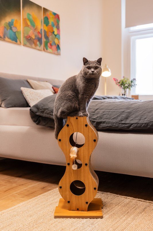 Inspiracje: Bonami z wizytą