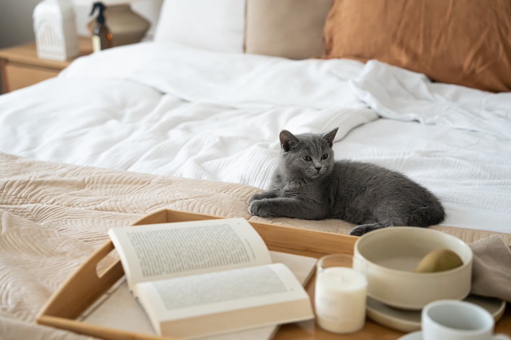 Inspiracje: Sypialnia, Styl klasyczny, Jesień, Tekstylia