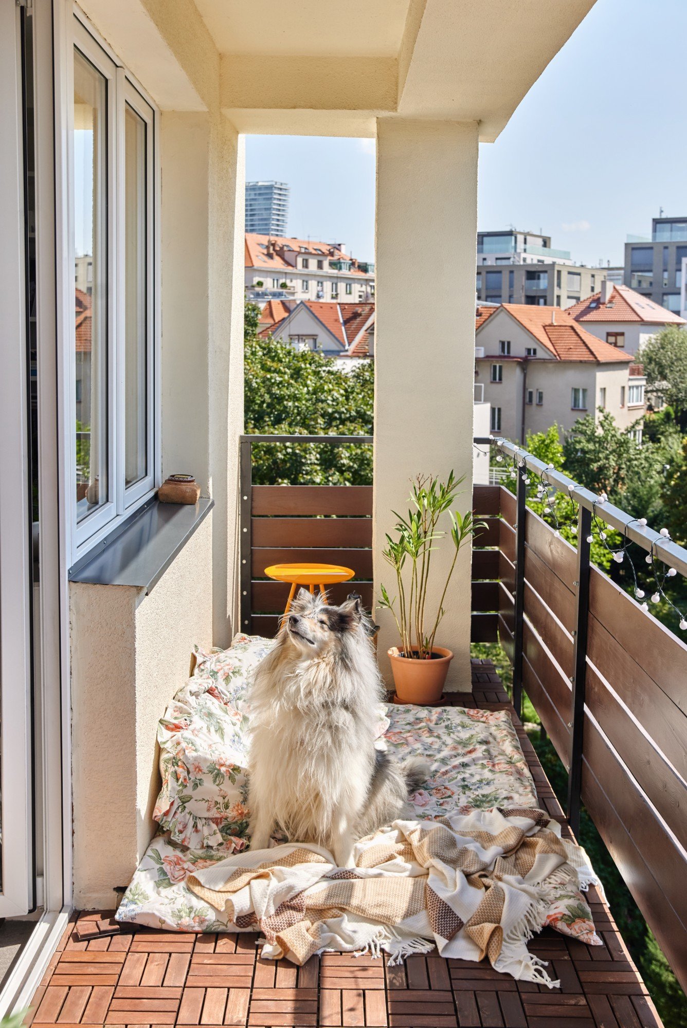 Kącik do relaksy, który pokochają czworonogi? Siedzisko na zewnątrz, poduszki i miękki koc.