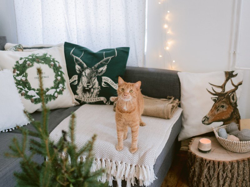 Inspiracje: Boże Narodzenie, Salon