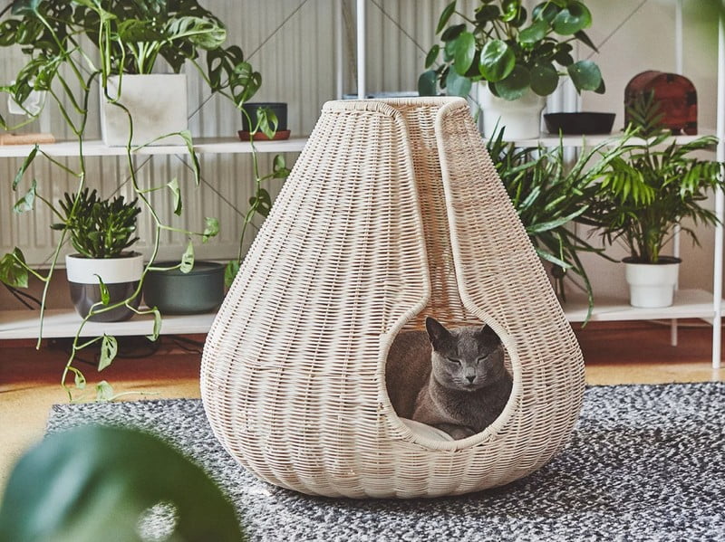 Inspiracje: Dla zwierząt