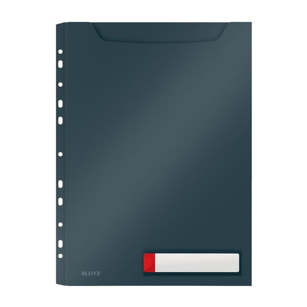 Szara folder o zwiększonej pojemności Leitz Cosy, A4