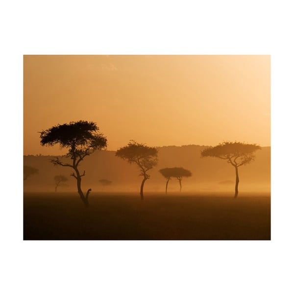 Tapeta wielkoformatowa Artgeist Massai Mara, 400x309 cm