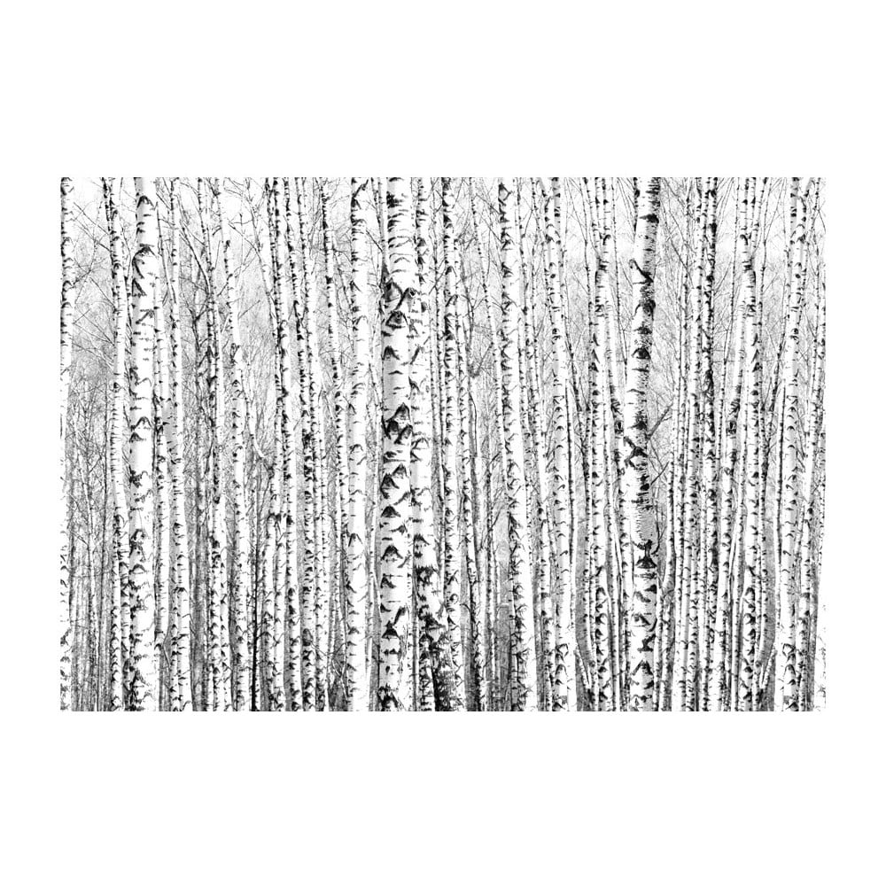 Tapeta wielkoformatowa Artgeist Birch Forest, 400x280 cm
