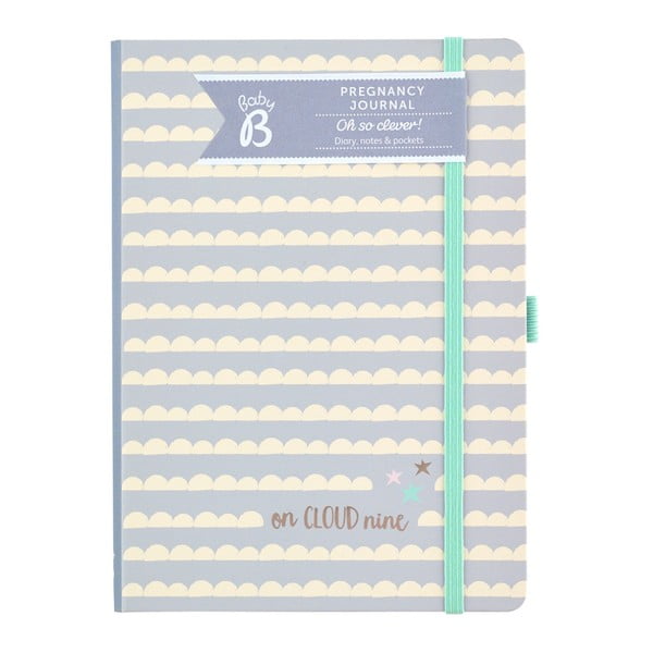 Pamiętnik ciążowy Busy B Pregnancy Journal