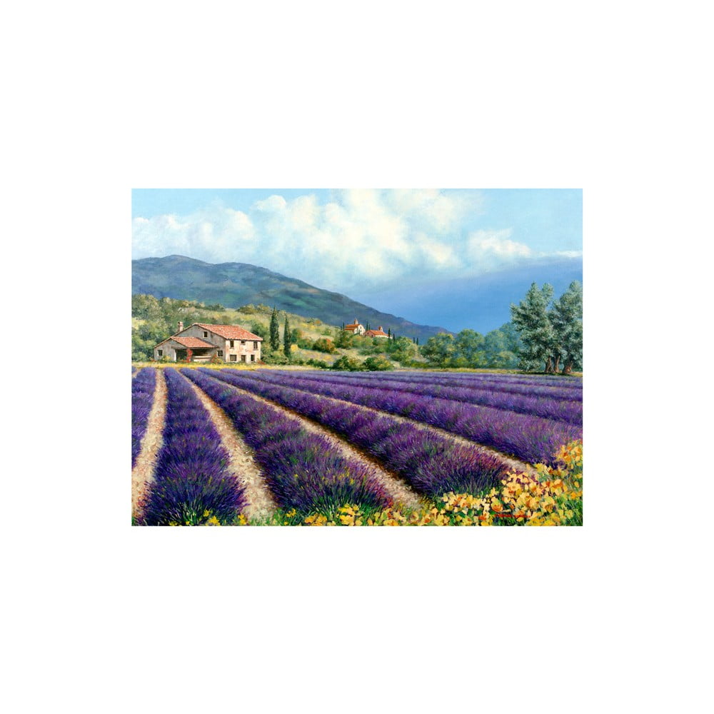 Obraz Field of Lavender, 60x80 cm