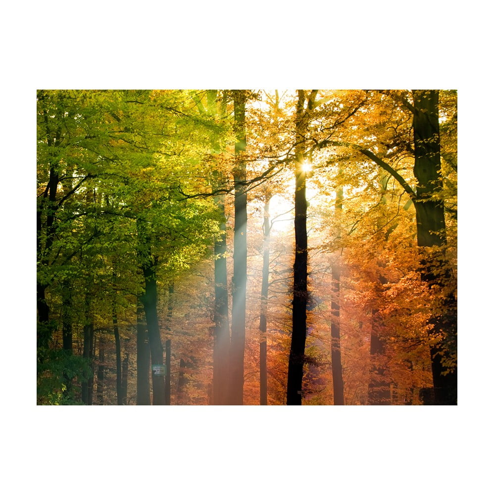 Tapeta wielkoformatowa Artgeist Beautiful Autumn, 200x154 cm