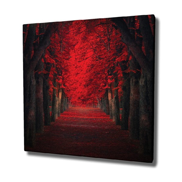 Obraz na płótnie Red Trees, 45x45 cm