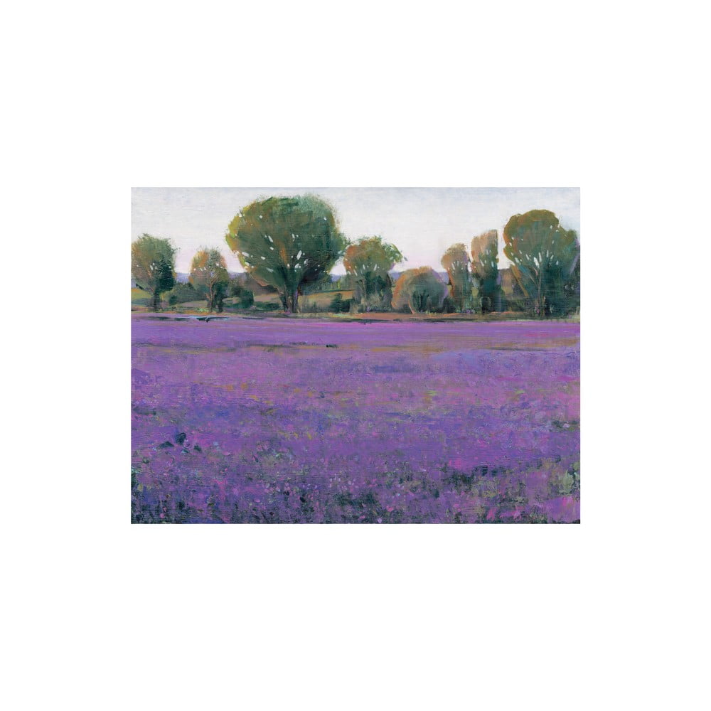 Obraz Lavender, 60x80 cm